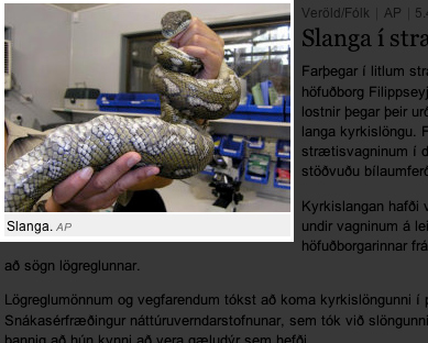 takk takk takk!!!